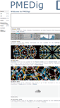 Mobile Screenshot of pmedig.com